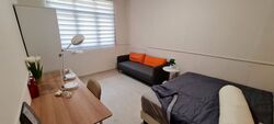 Tanjong Katong Road (D15), Shop House #617603951